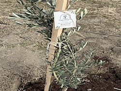 KERVAN'DAN ANLAMLI SOSYAL SORUMLULUK PROJES�!